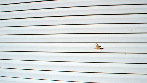 Best Aluminum Siding Installation  in Lowell, NC